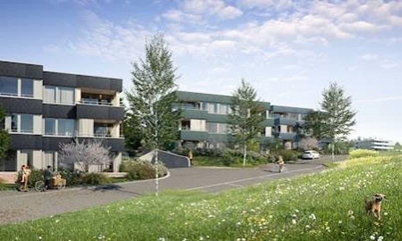 Gemütliche 3.5 Zimmerwohnung in Birmensdorf zu vermieten (5)