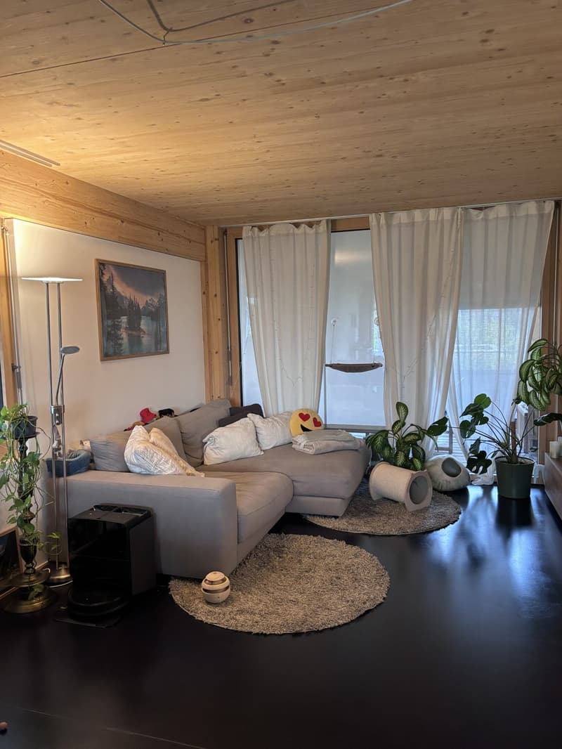Gemütliche 3.5 Zimmerwohnung in Birmensdorf zu vermieten (2)