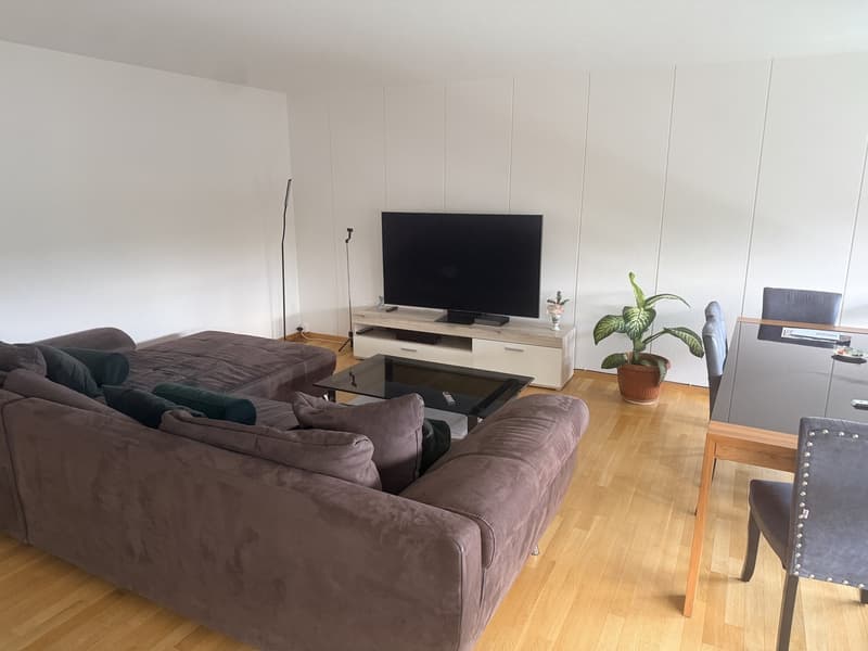 Room in a shared flat, 5004 Aarau (4)