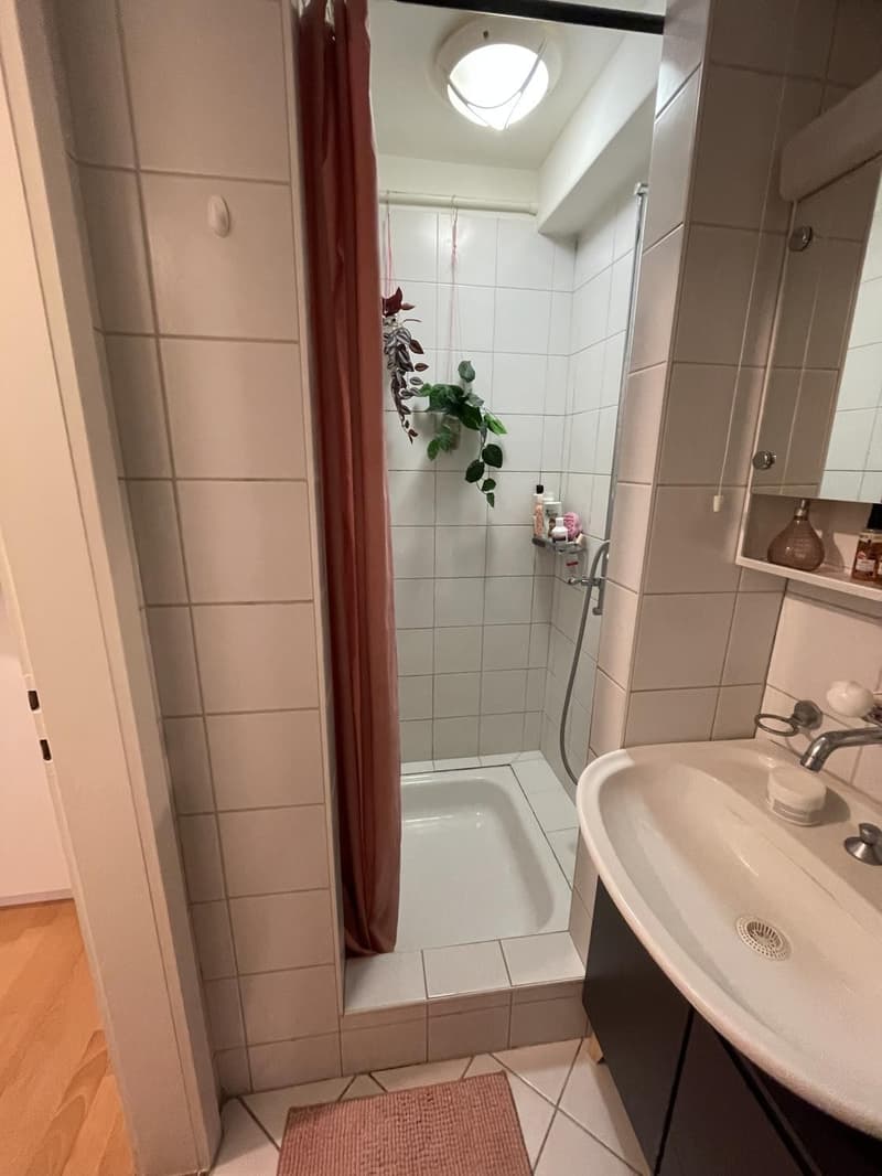 Charmante Erdgeschosswohnung am Quellenweg (Neubad) 830. CHF warm (7)