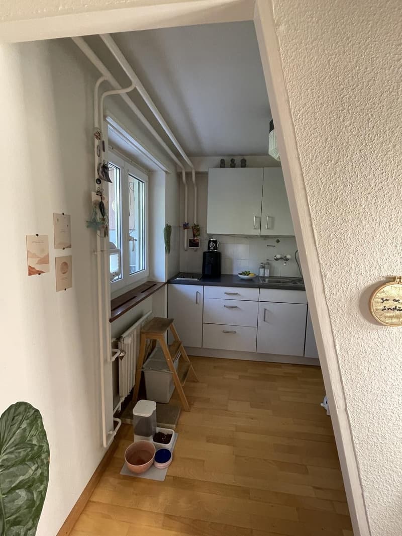 Charmante Erdgeschosswohnung am Quellenweg (Neubad) 830. CHF warm (4)