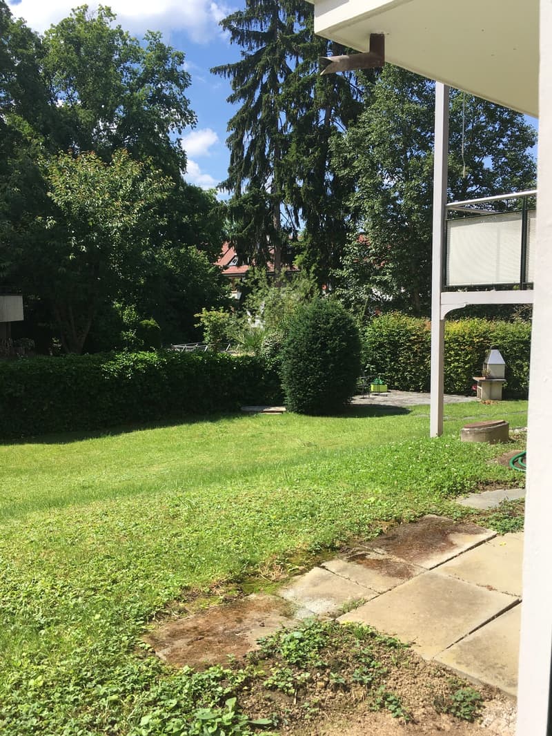 Charmante Erdgeschosswohnung am Quellenweg (Neubad) 830. CHF warm (3)