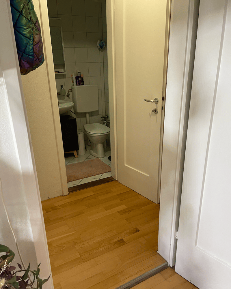 Charmante Erdgeschosswohnung am Quellenweg (Neubad) 830. CHF warm (6)