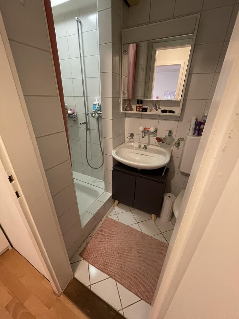 Charmante Erdgeschosswohnung am Quellenweg (Neubad) 830. CHF warm (8)