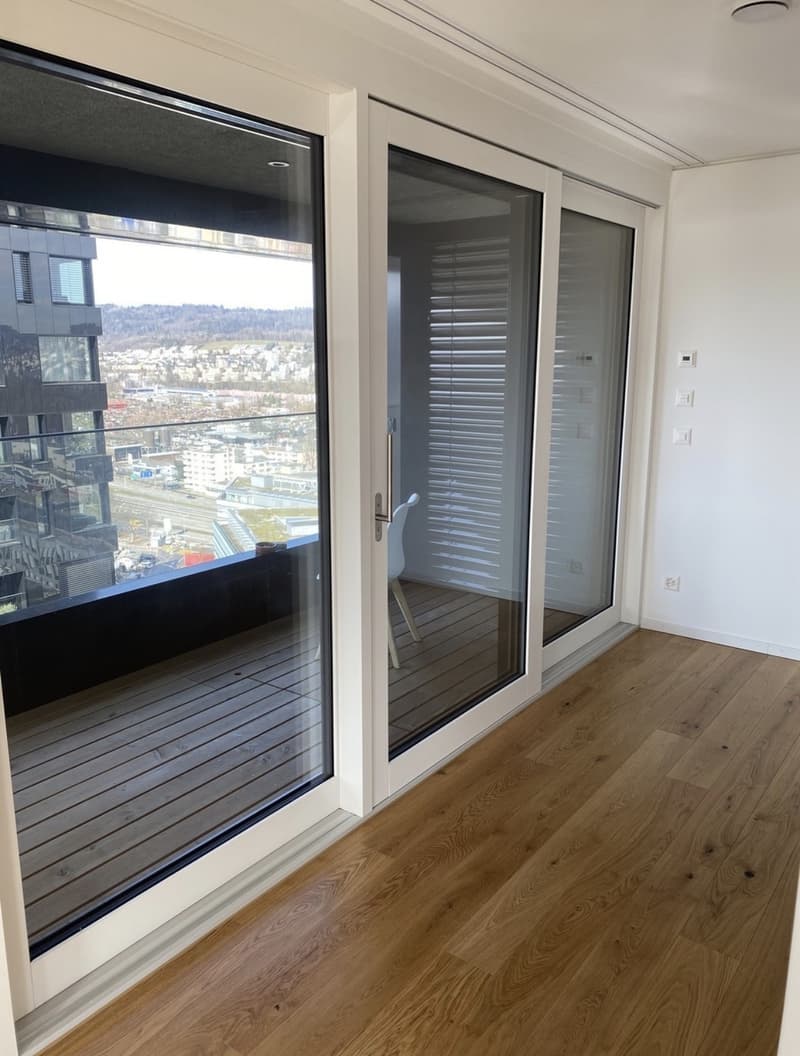 WG Zimmer in Luxus Apartment in Zürich (12)