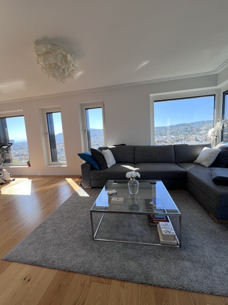 WG Zimmer in Luxus Apartment in Zürich (6)