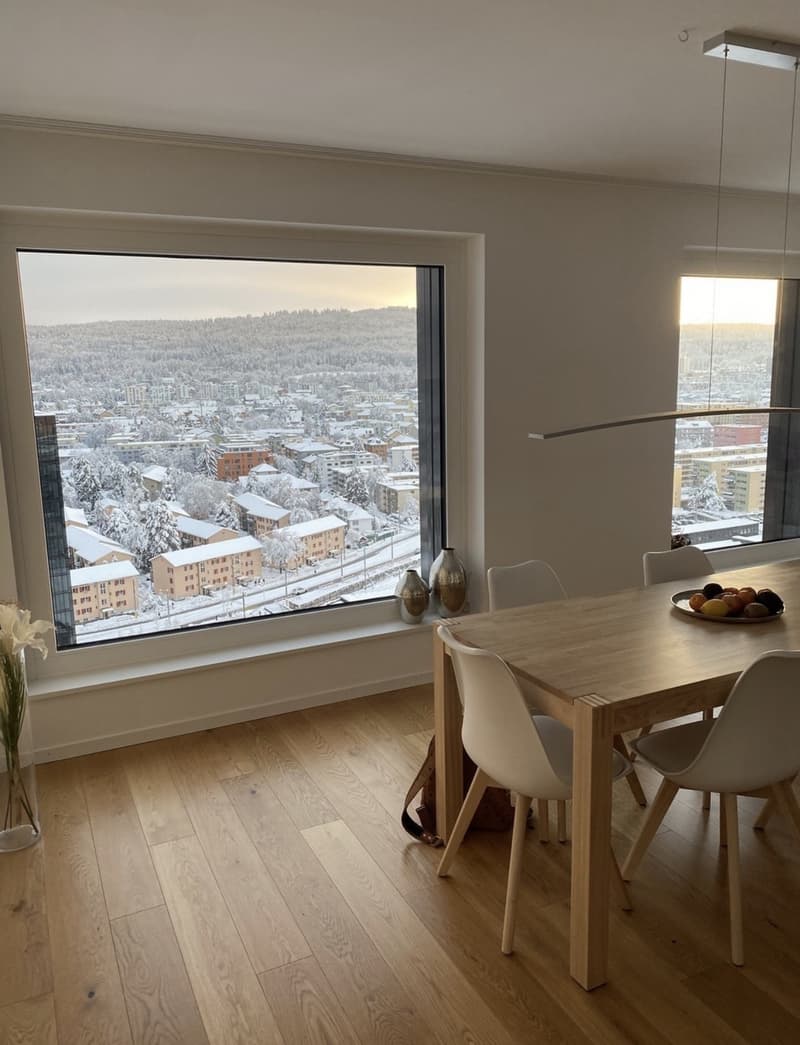WG Zimmer in Luxus Apartment in Zürich (4)