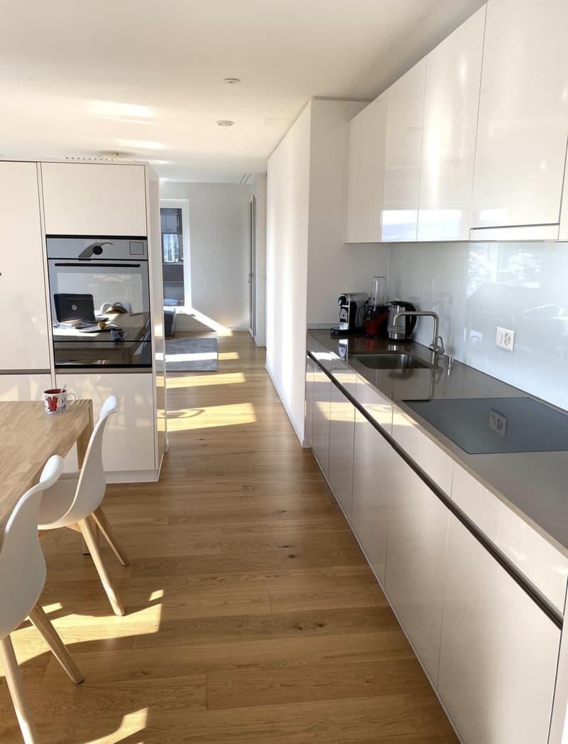 WG Zimmer in Luxus Apartment in Zürich (3)