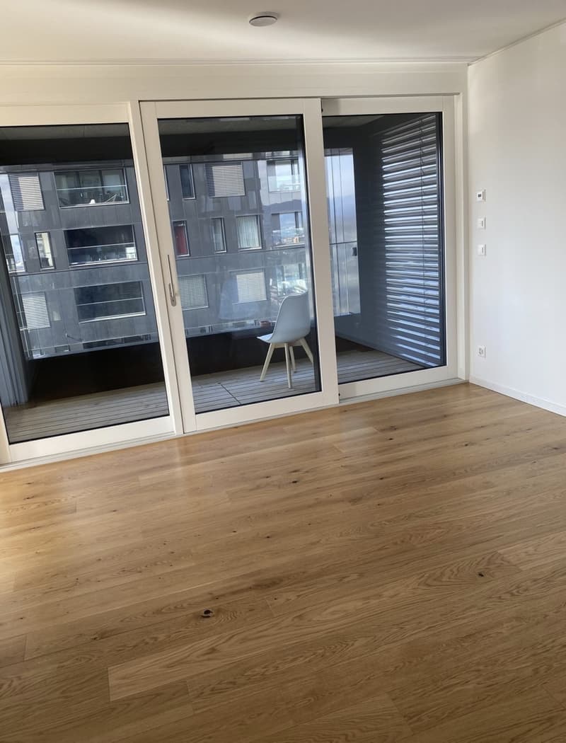 WG Zimmer in Luxus Apartment in Zürich (11)