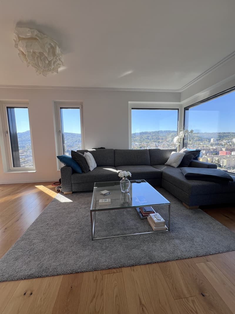 WG Zimmer in Luxus Apartment in Zürich (8)
