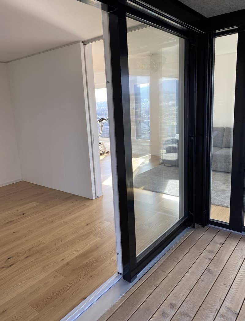 WG Zimmer in Luxus Apartment in Zürich (13)