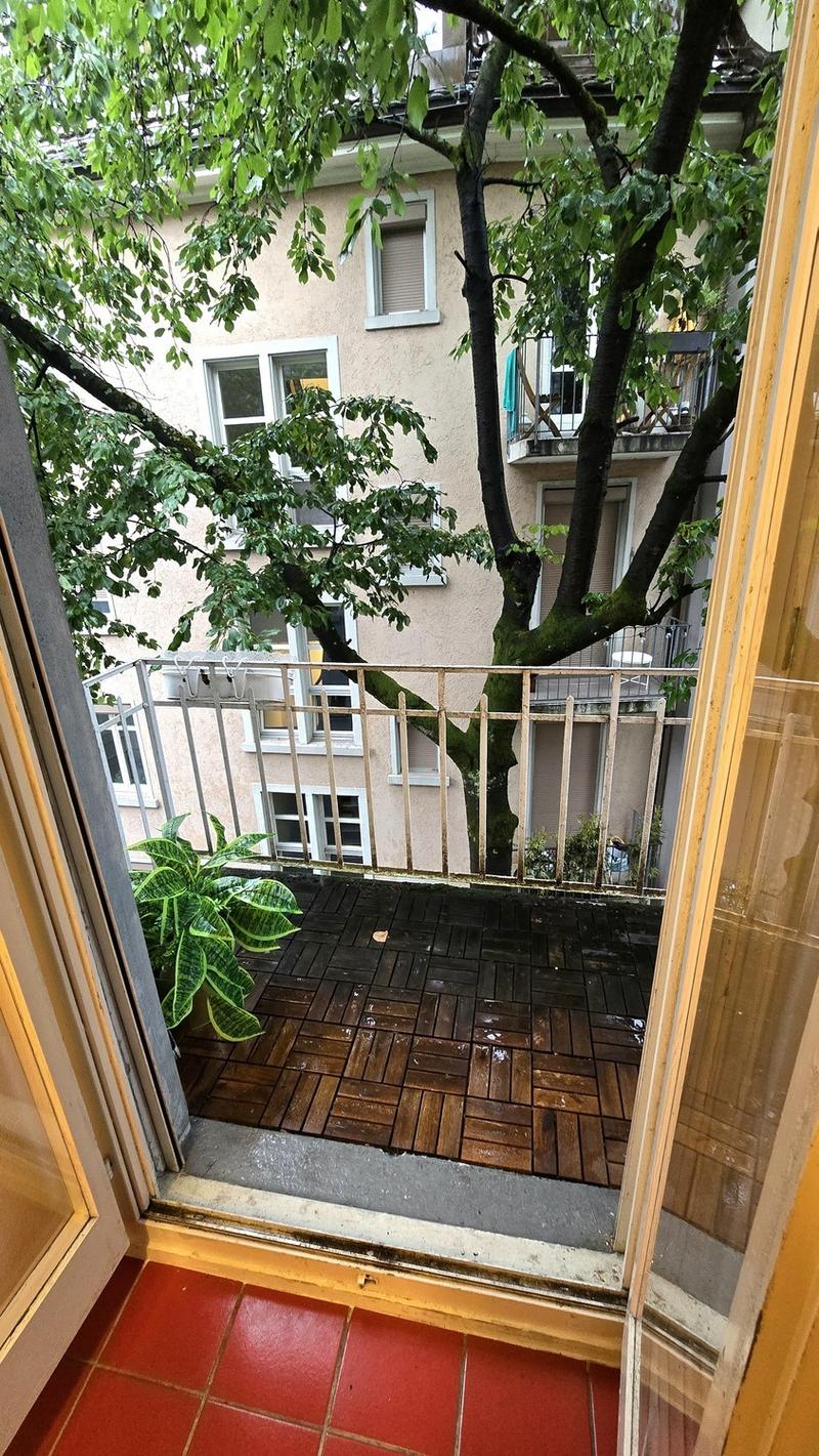 Looking for a flatmate (5)