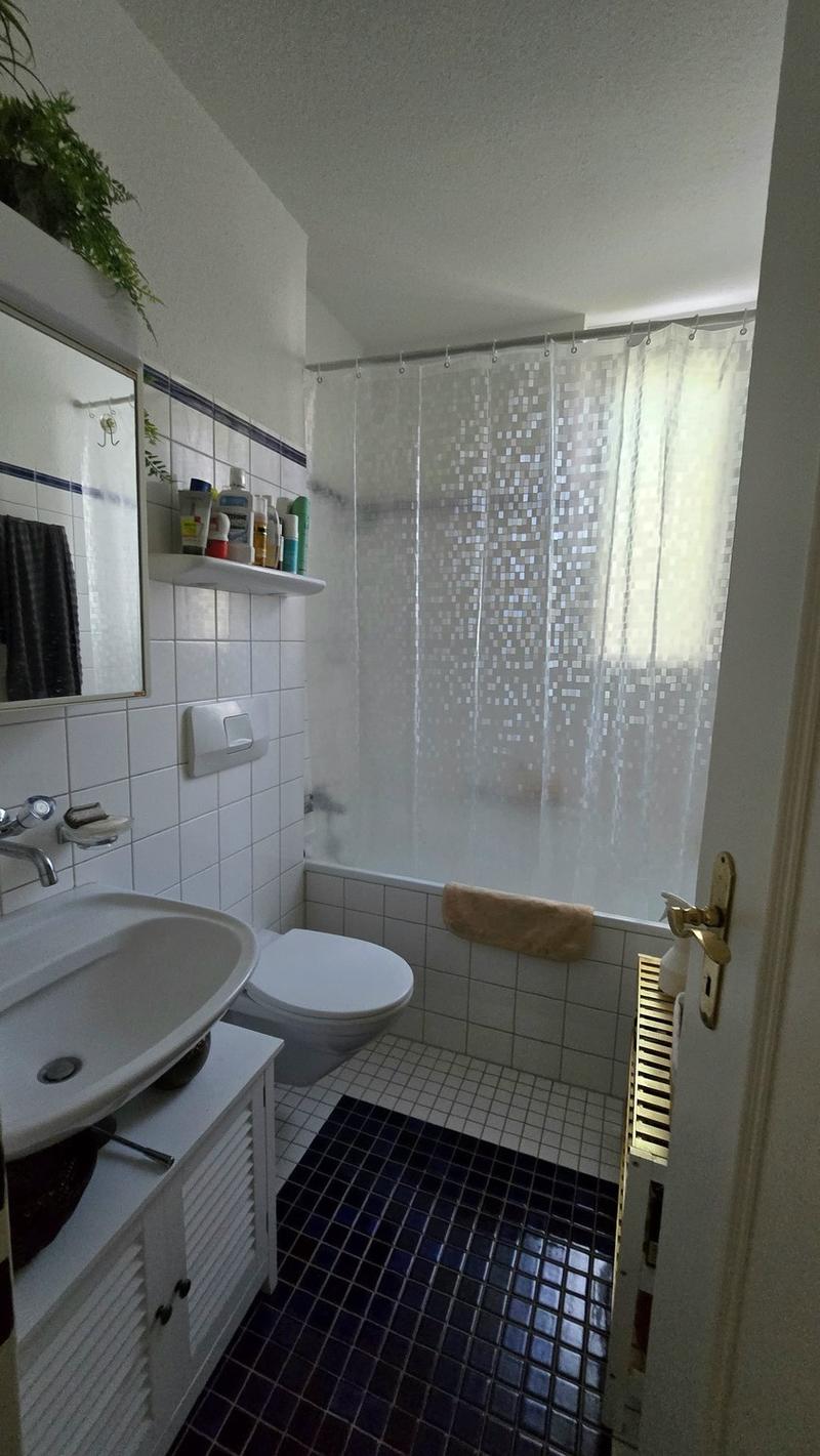 Looking for a flatmate (6)