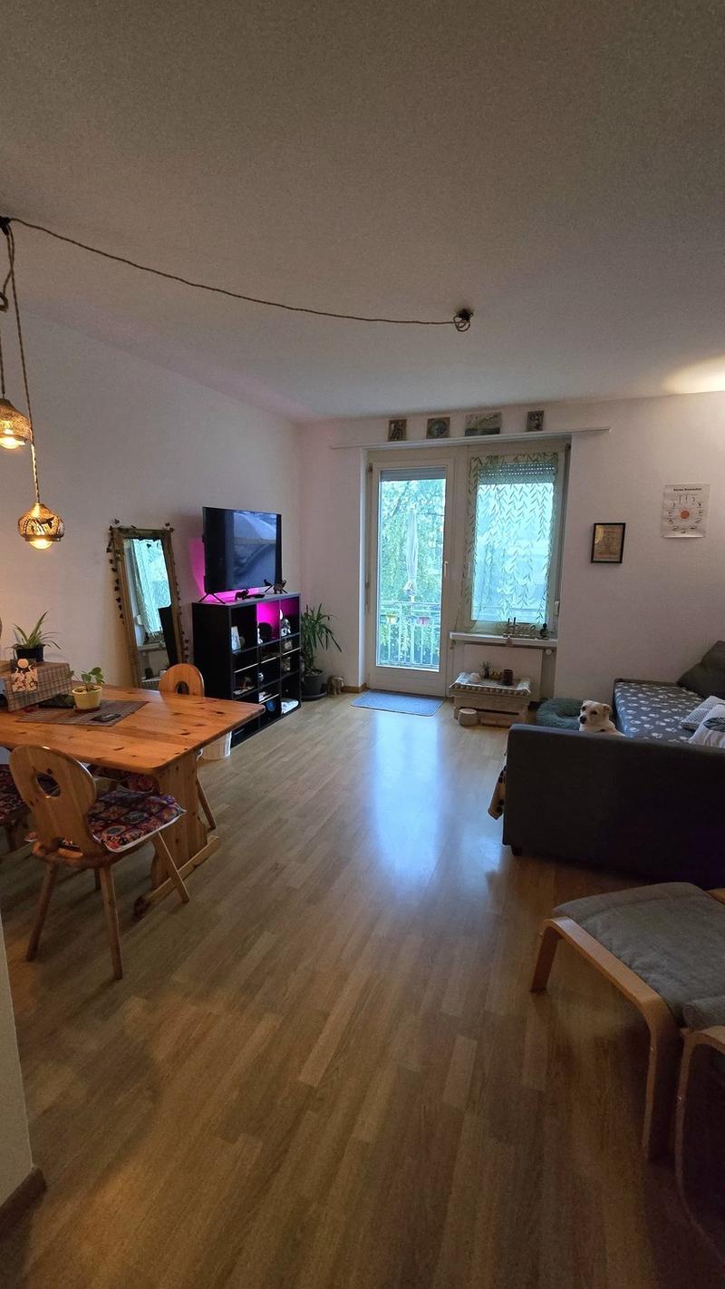 Looking for a flatmate (4)