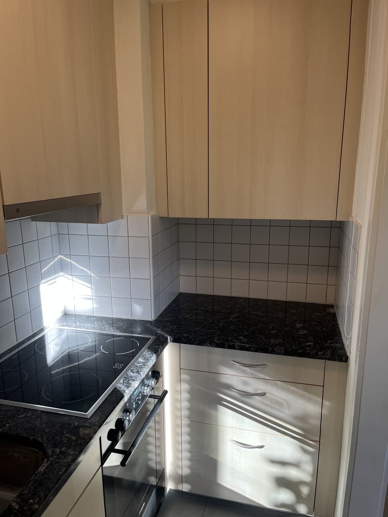 2-Zimmer-Wohnung, 38 m²  ab sofort verfügbar (3)