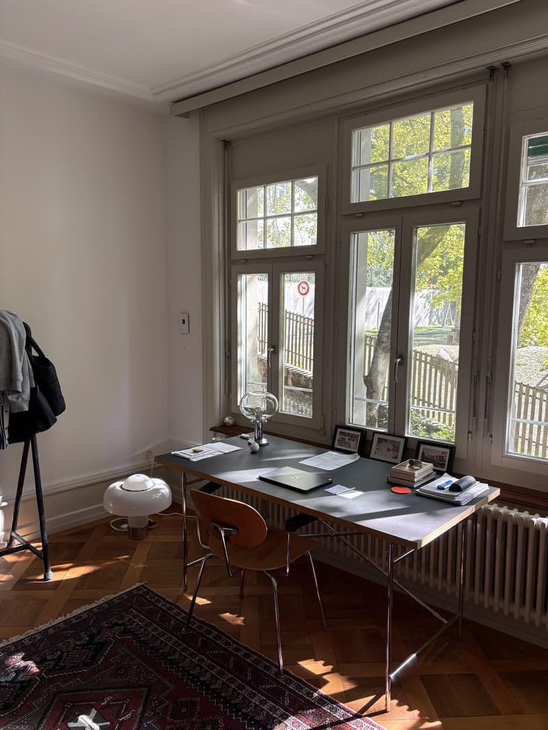 4-6 Wochen befristetet wohnen nah USZ/ ETH (4)