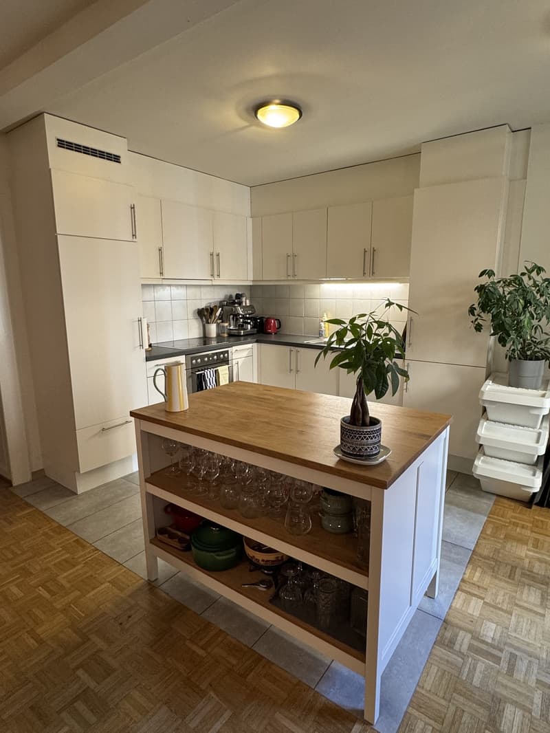Appartement de 3 pièces avec cuisine ouverte au cur de Lausanne (9)
