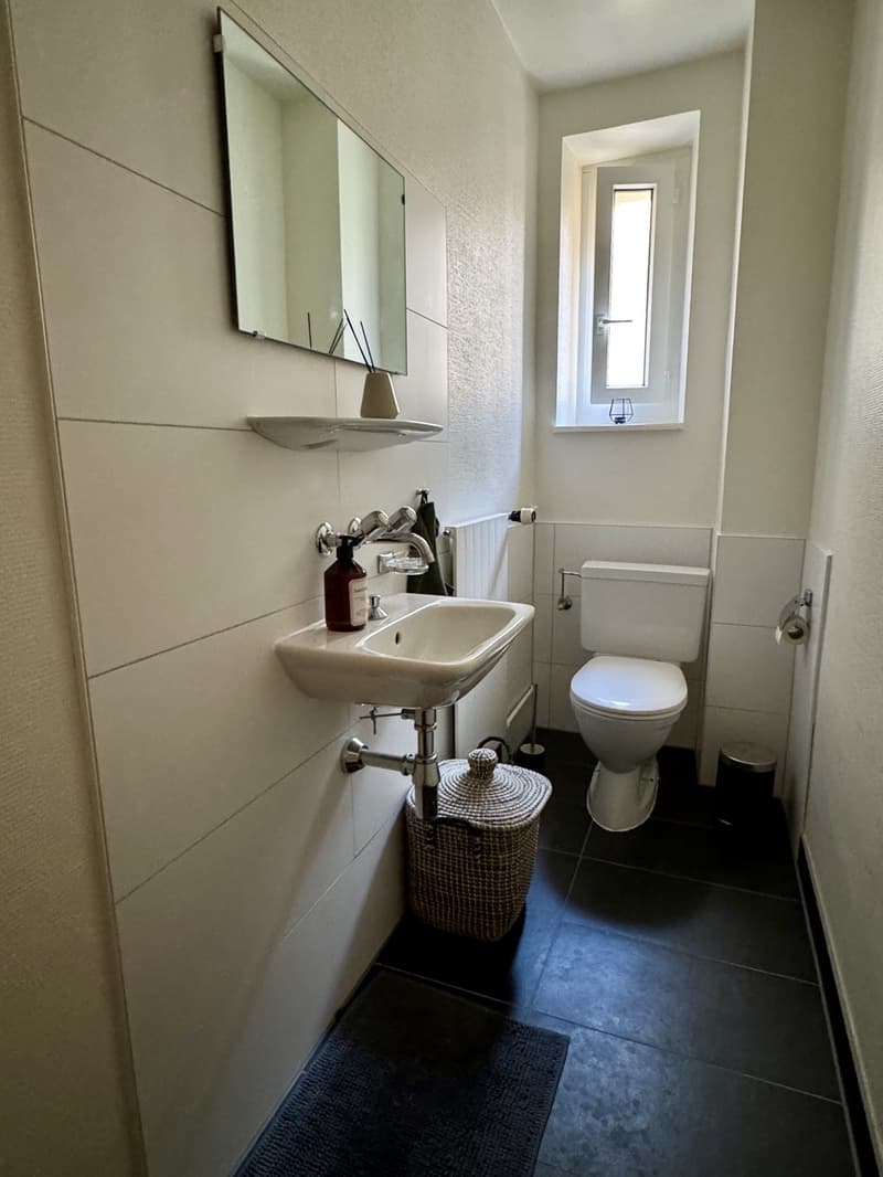 Appartement de 3 pièces avec cuisine ouverte au cur de Lausanne (13)