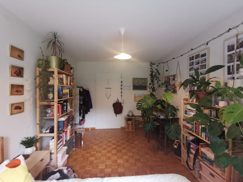 WG Zimmer am Stadtrand (3)