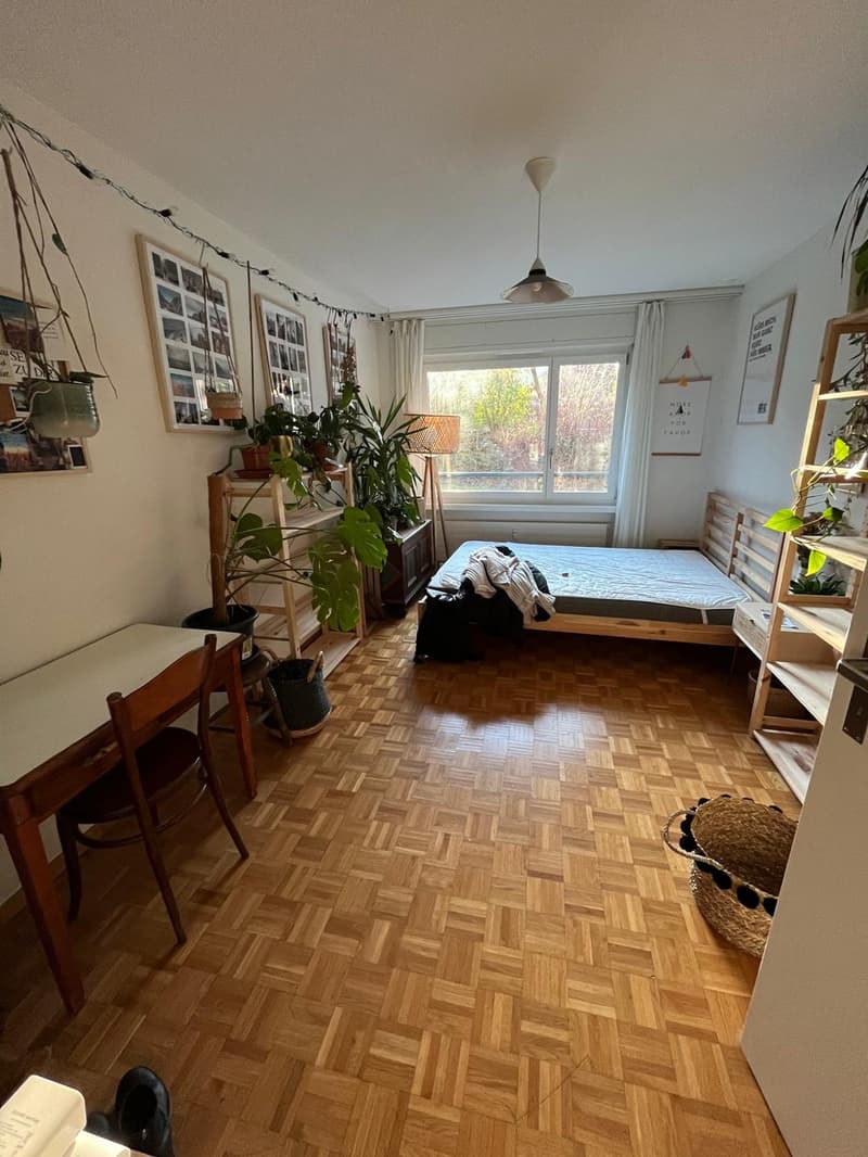 WG Zimmer am Stadtrand (2)
