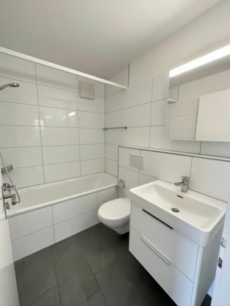 Room for rent in Zurich (6)