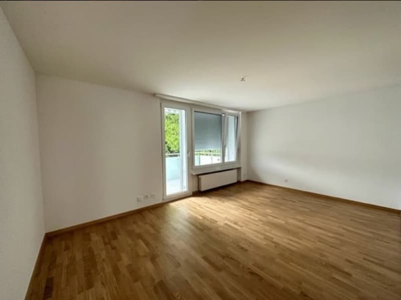 Room for rent in Zurich (7)