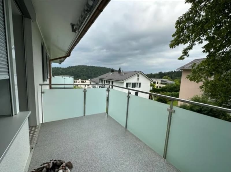 Room for rent in Zurich (5)