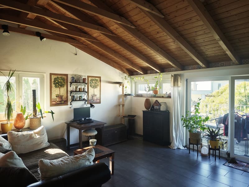 4 1/2 Zimmer Maisonette Wohnung (2)