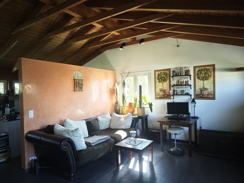 4 1/2 Zimmer Maisonette Wohnung (1)
