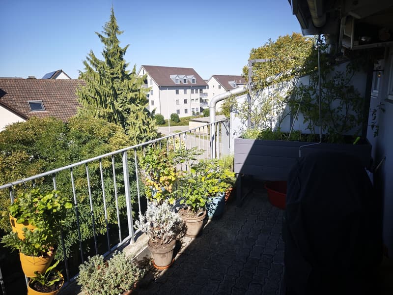 4 1/2 Zimmer Maisonette Wohnung (6)