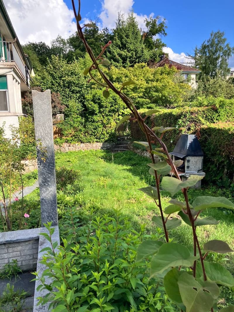 2 Zimmer in grossem 5-6er WG 8-Z-Haus mit Garten Option zur Vertragsübernahme (3)