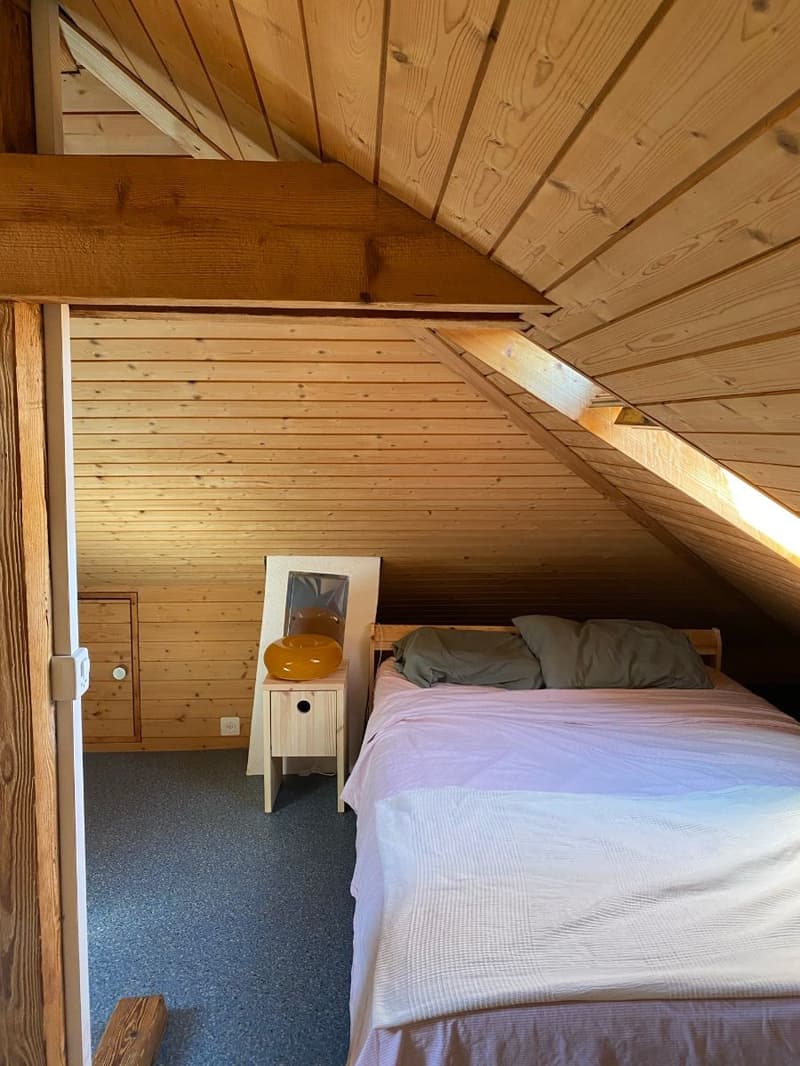 2 Zimmer in grossem 5-6er WG 8-Z-Haus mit Garten Option zur Vertragsübernahme (7)
