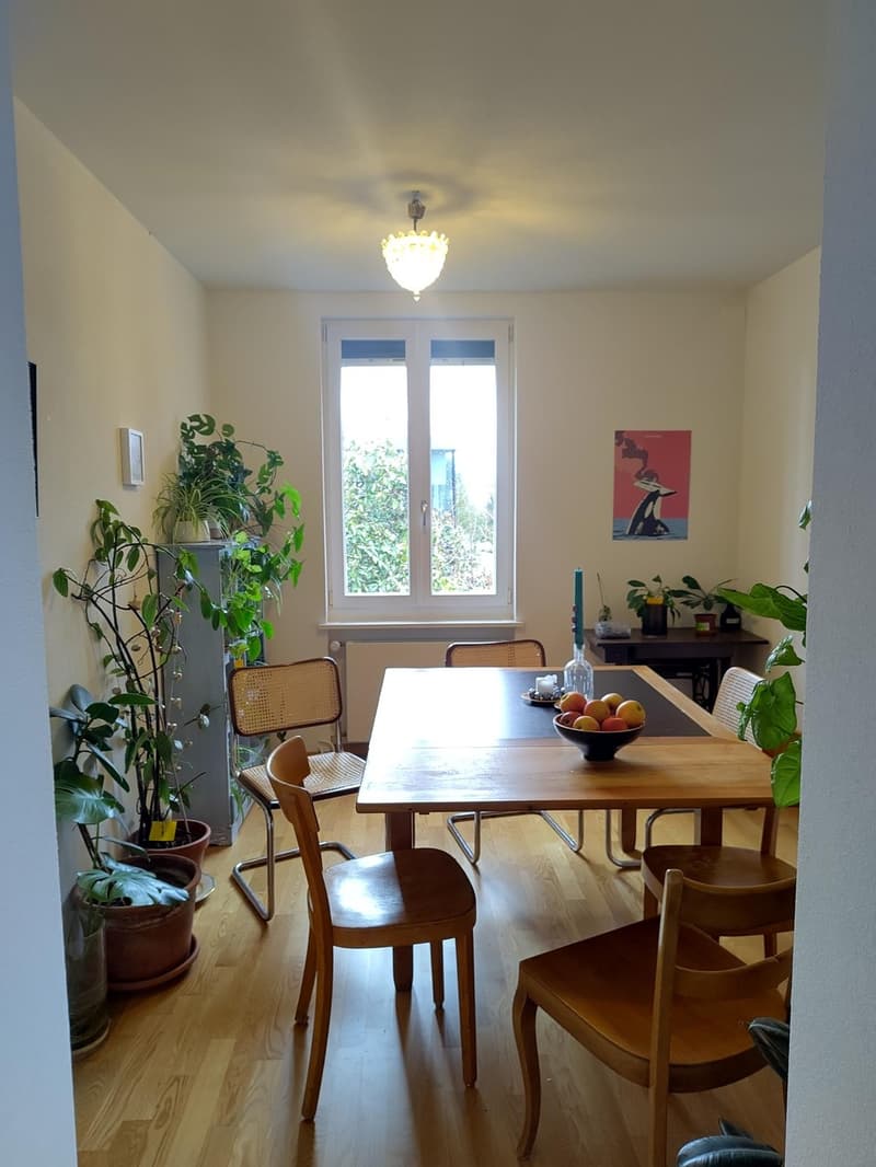 2 Zimmer in grossem 5-6er WG 8-Z-Haus mit Garten Option zur Vertragsübernahme (6)