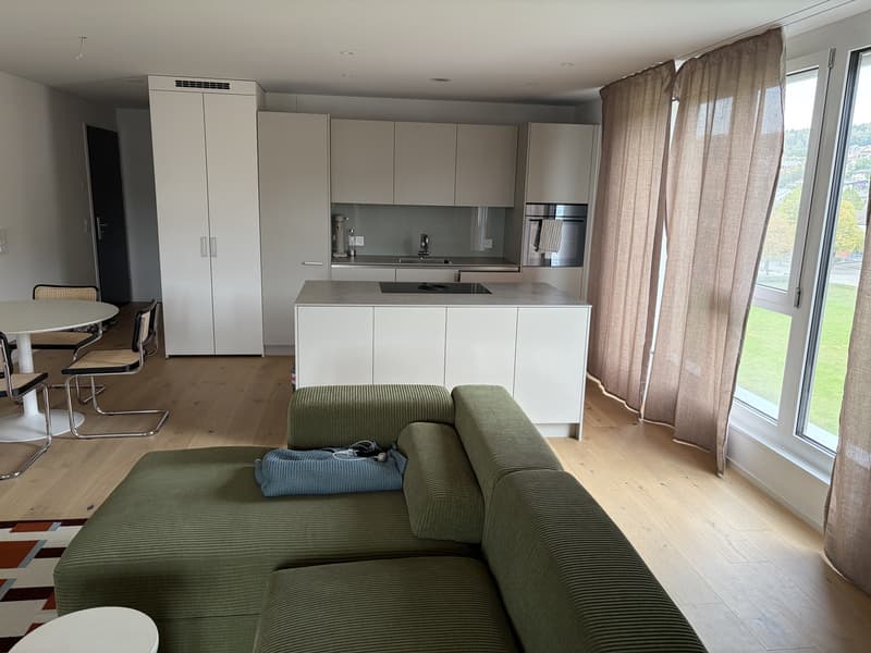 Moderne 2,5-Zimmerwohnung (Baujahr 2024) (1)