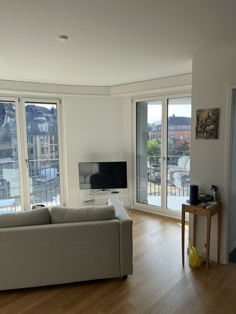 WG-Zimmer moderner, renovierter 3.5Z Wohnung am Schaffhauserplatz (unbefristet) (2)