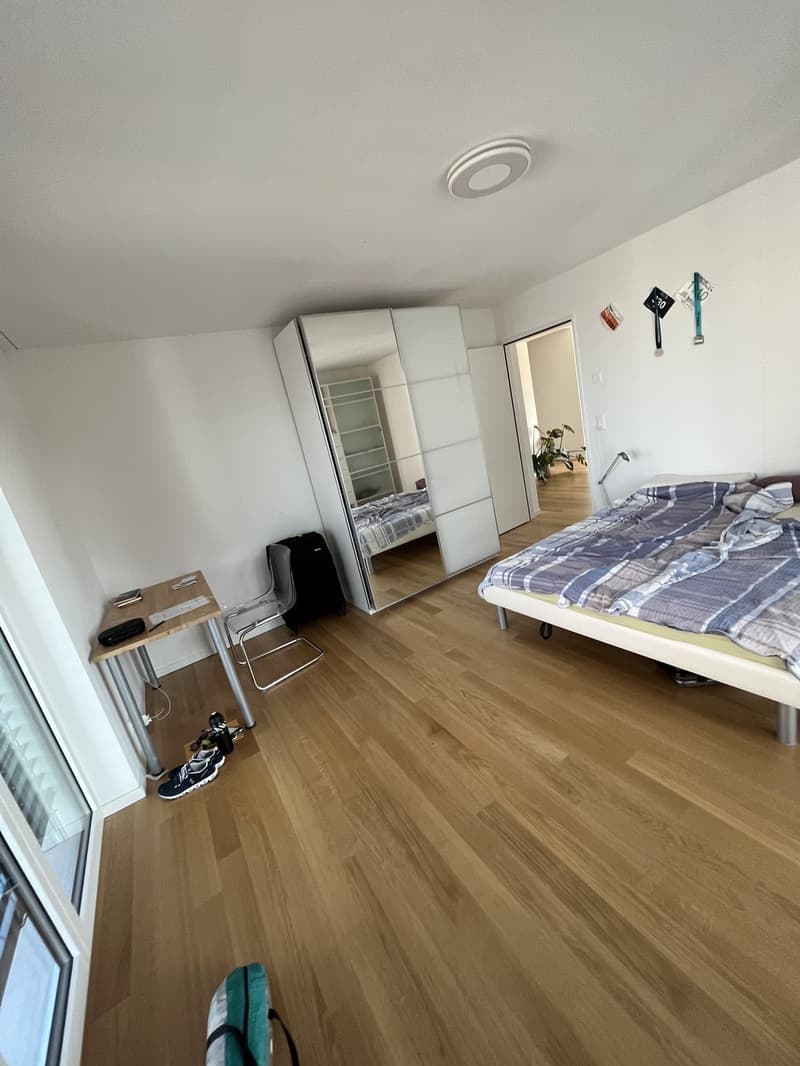 WG-Zimmer moderner, renovierter 3.5Z Wohnung am Schaffhauserplatz (unbefristet) (4)