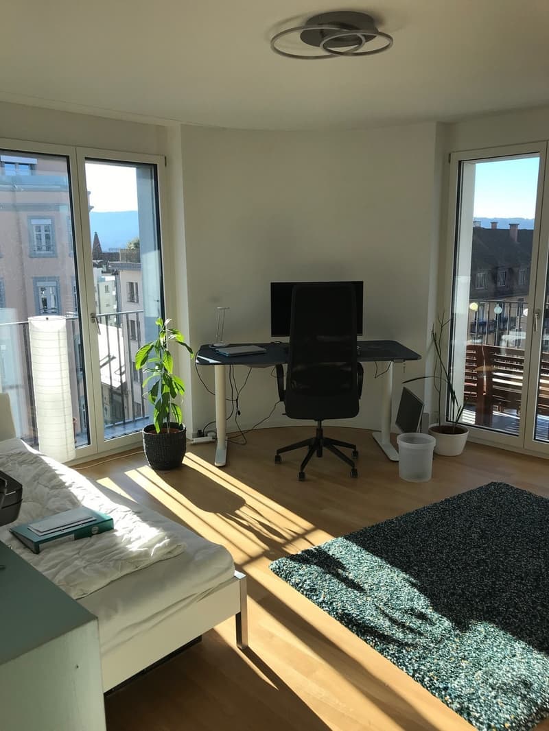 WG-Zimmer moderner, renovierter 3.5Z Wohnung am Schaffhauserplatz (unbefristet) (3)