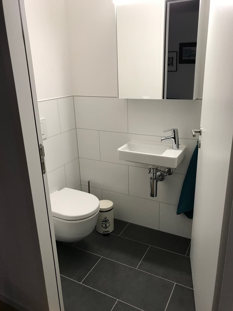 WG-Zimmer moderner, renovierter 3.5Z Wohnung am Schaffhauserplatz (unbefristet) (9)