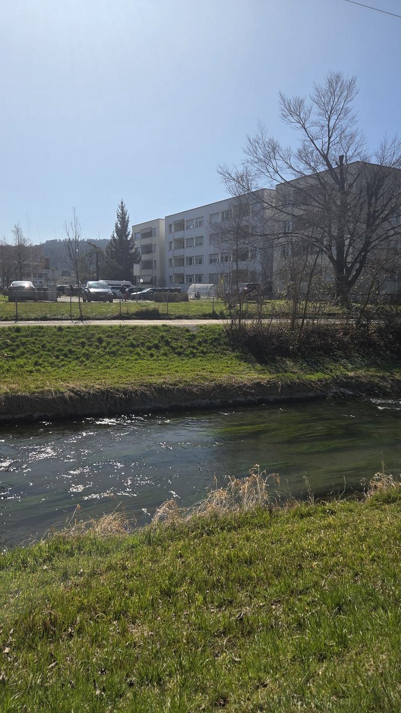 3.5 flat (2 bedrooms) available immediately (3)