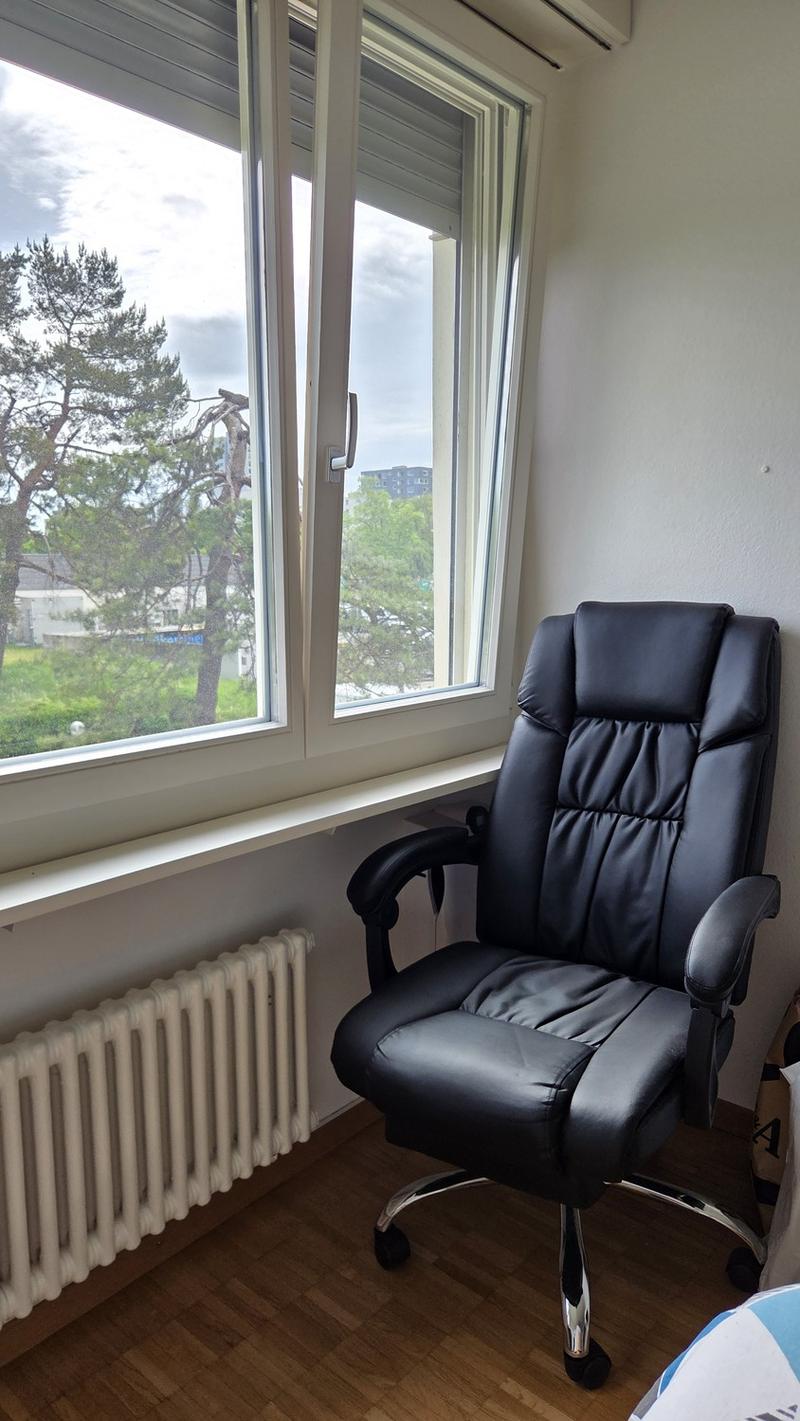 3.5 flat (2 bedrooms) available immediately (6)