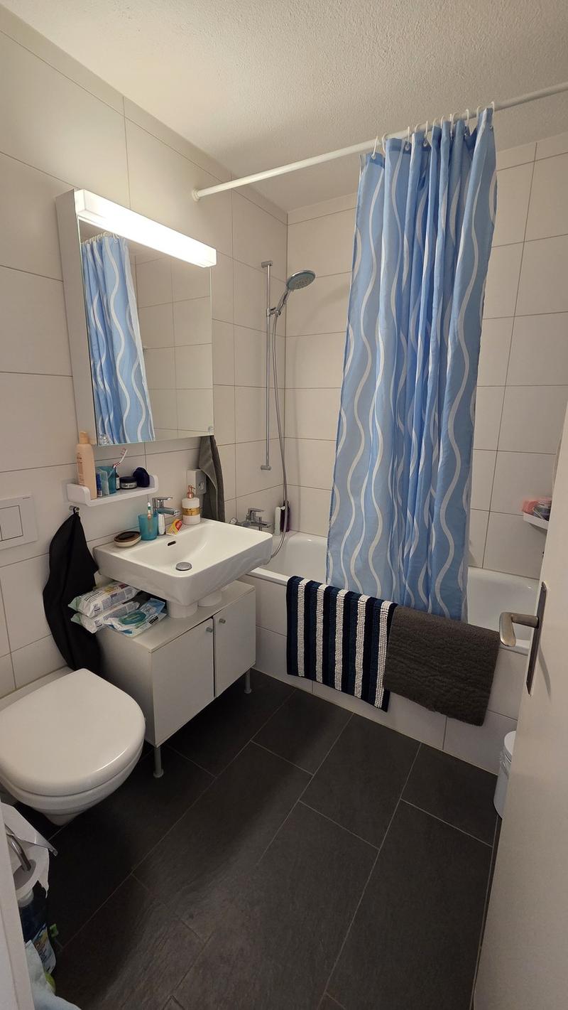 3.5 flat (2 bedrooms) available immediately (11)