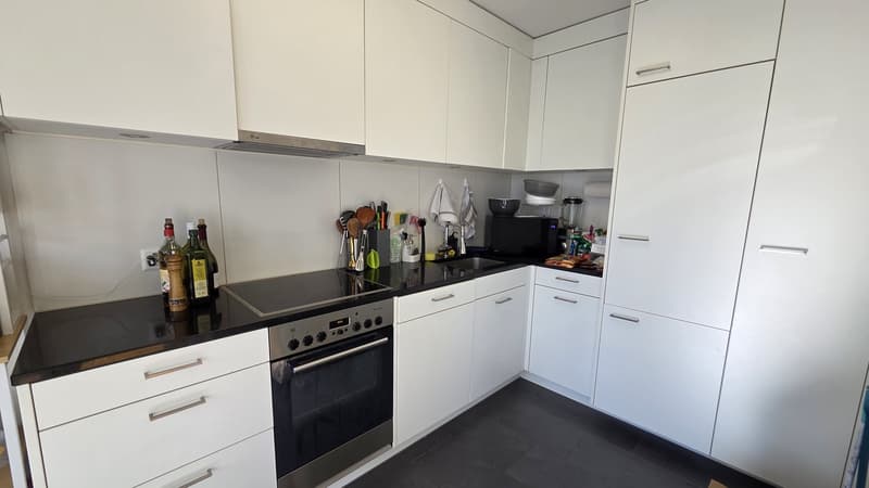 3.5 flat (2 bedrooms) available immediately (7)