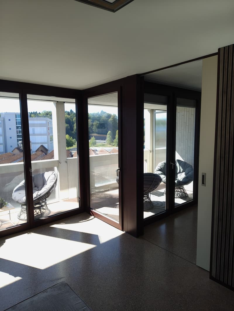 Hochwertige Neubauwohnung - modern, lichtdurchflutet & grosszügig (7)