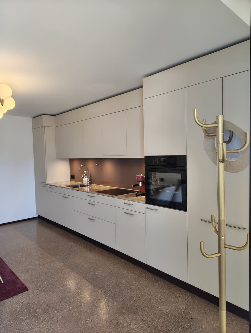 Hochwertige Neubauwohnung - modern, lichtdurchflutet & grosszügig (12)