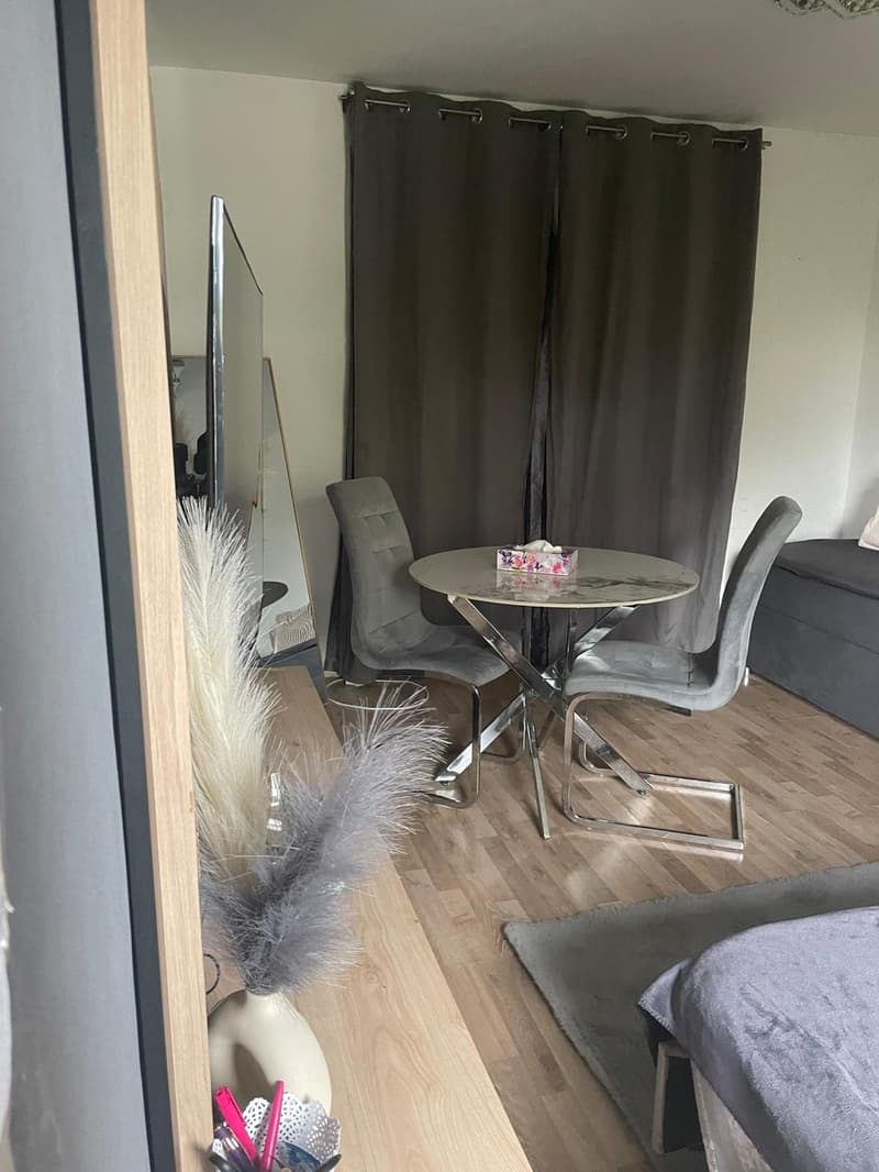 WG ZIMMER 20M2 2 Personen 1450 CHF 1Petson 980 (13)