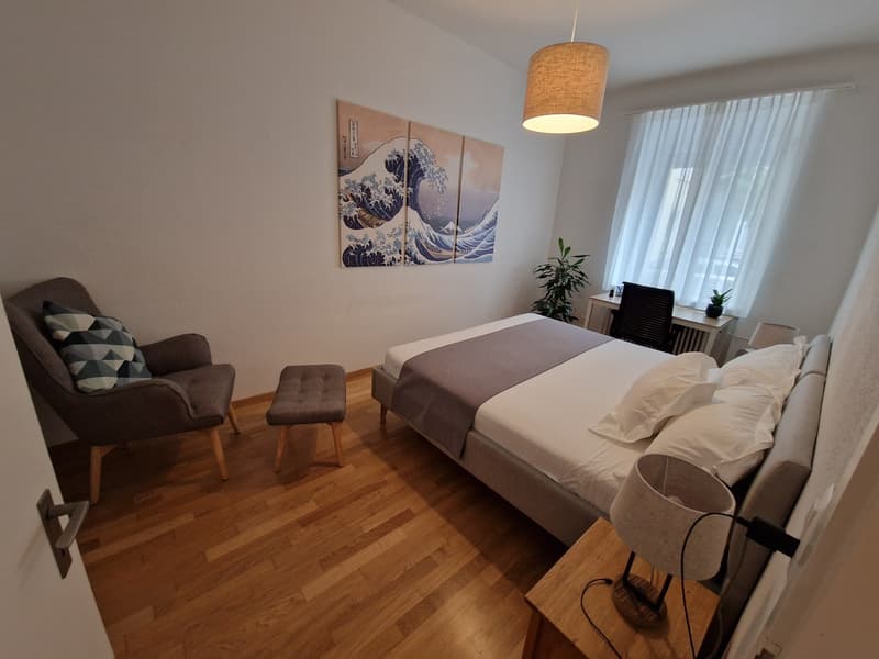 3.5 room furnished apartment in Zurich Kreis 3 temporary rental (4)