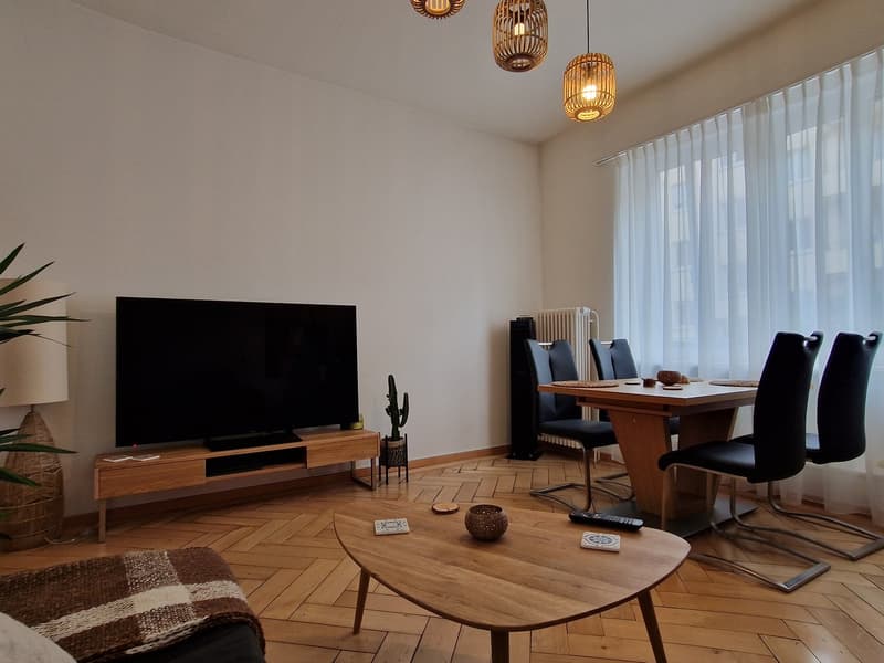 3.5 room furnished apartment in Zurich Kreis 3 temporary rental (3)