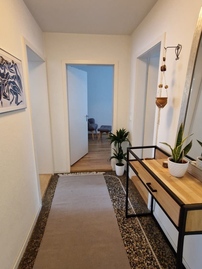 3.5 room furnished apartment in Zurich Kreis 3 temporary rental (6)