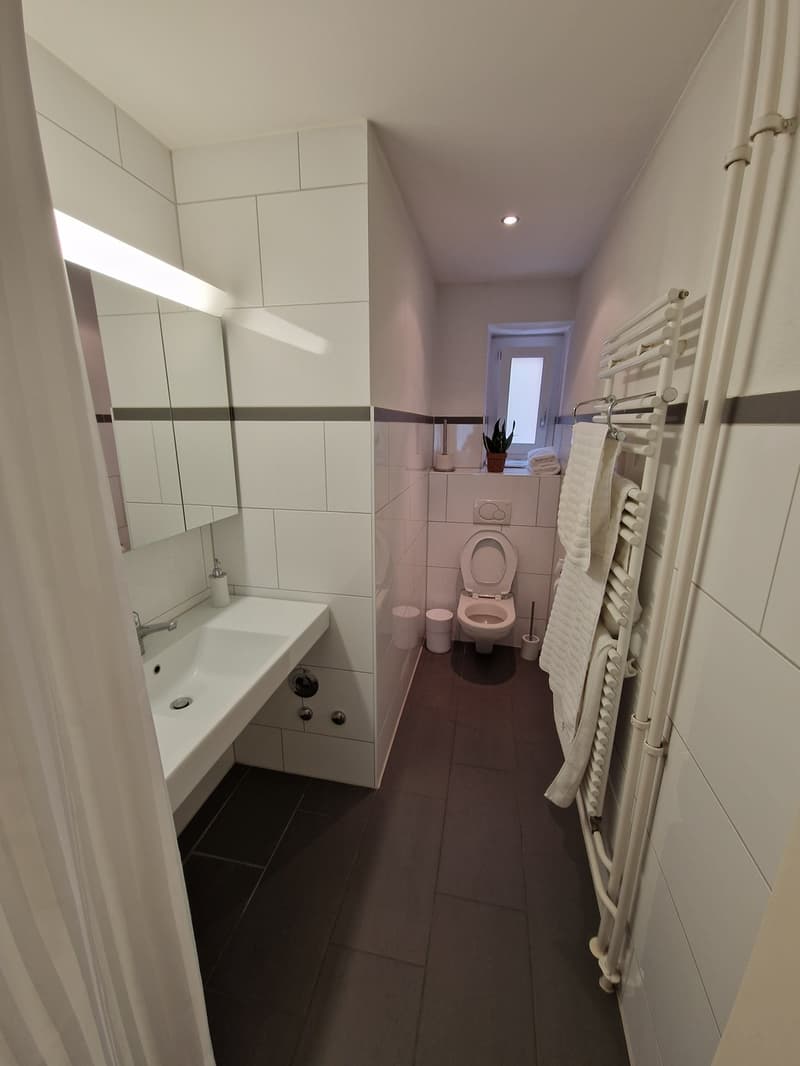 3.5 room furnished apartment in Zurich Kreis 3 temporary rental (8)