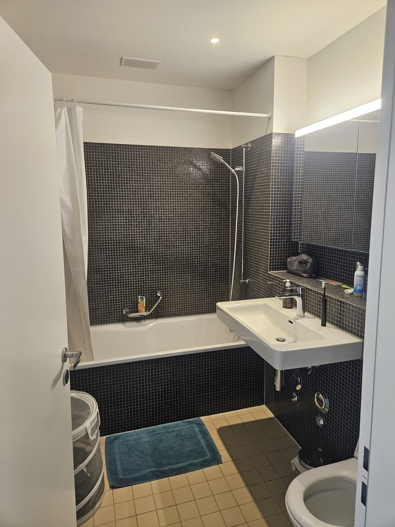 2.5-room apartment at Käferholzstrasse 40, 8057 Zürich (9)